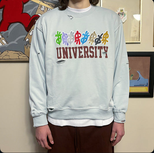 univeristY crewneck